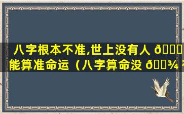 八字根本不准,世上没有人 💐 能算准命运（八字算命没 🌾 有科学道理）